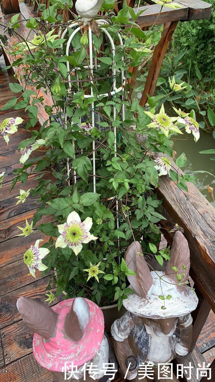 花了7个月,亲手打造123㎡别墅花园,网友:看一眼都会陶醉其中