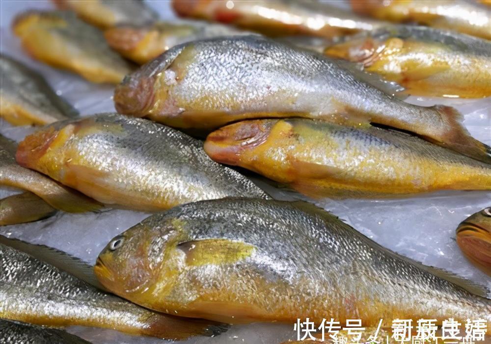 优质蛋白|才知道，这4种鱼营养价值高，市场看见别错过，一次可以多买几斤