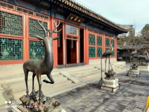 实拍|红米Note9 Pro一亿像素实拍，这真是一千多元的手机？