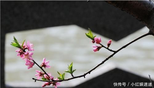 智商|出生在几点钟的孩子,智商最高,将来一定大有出息,前途光明