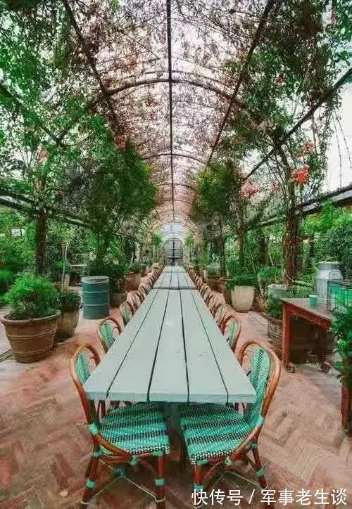 我想有个庭院,有书有茶还有你