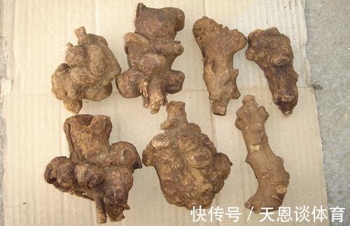 排毒|一碗最适合秋天去喝的补肺汤，养肺排毒，让肺越变越强壮