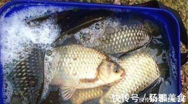 饵料|野钓鲫鱼为何全是送漂,黑漂和钝口很少道理很简单!