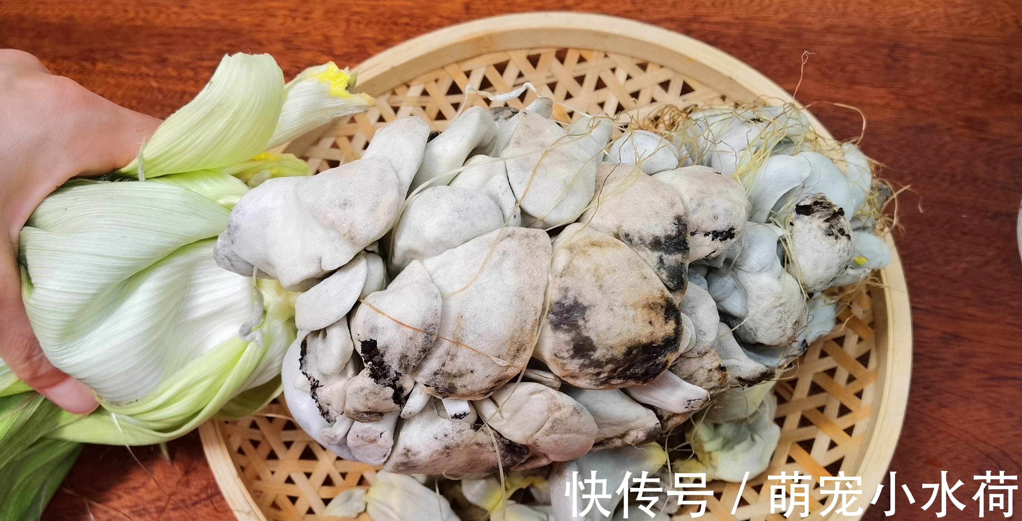 乌苠|此菜和玉米共生,农民见到就头痛,老外却拿它当美食,9美元1斤