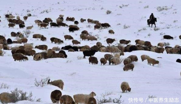 草原|北方游牧民族是如何产生的,与汉族是什么关系