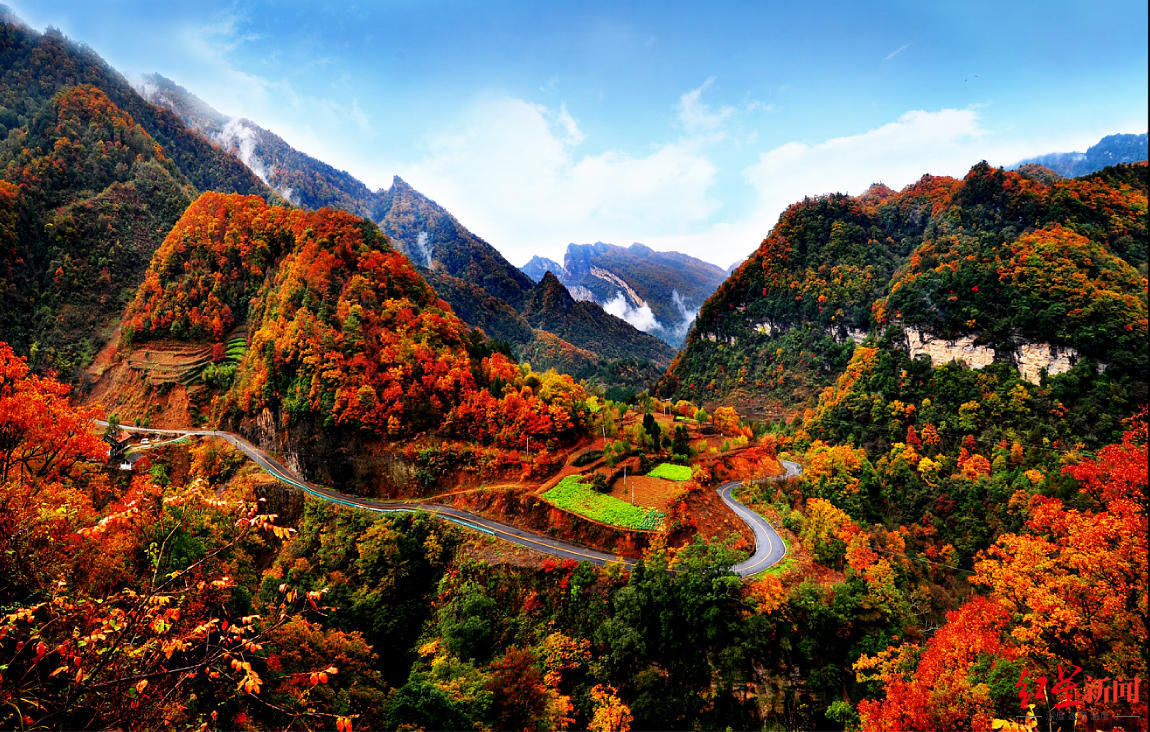 砂锅雅鱼|四川发布十条金秋旅游线路，邀你来看最美彩林~