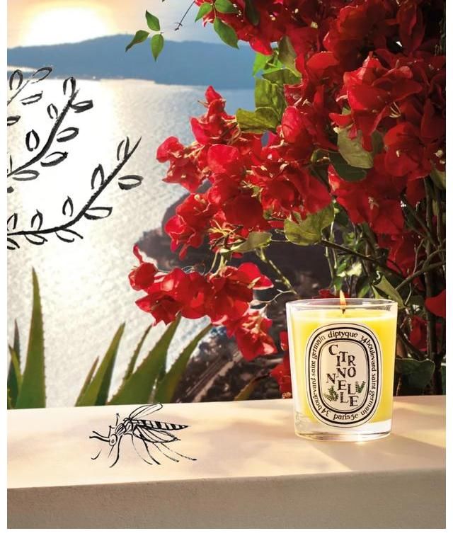 nbGucci炼金士花园1921香水，斯伯丁水晶碎片篮球丨是日美好事物