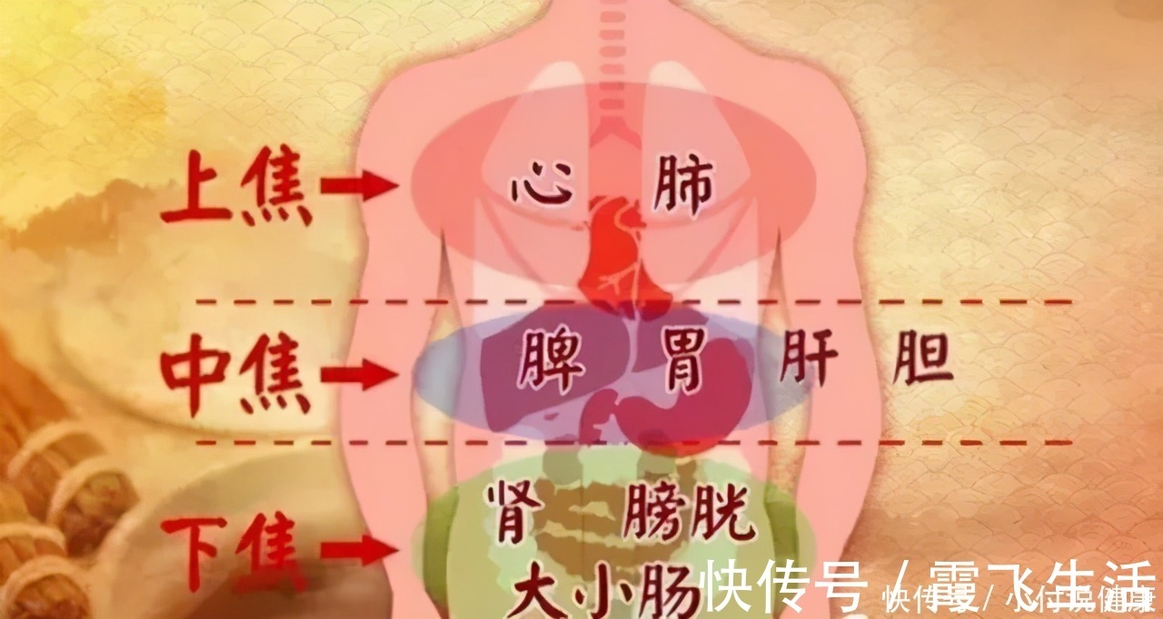 补中调气|又上火又怕冷,上热下寒怎么办?中医教你补中调气,平调寒热