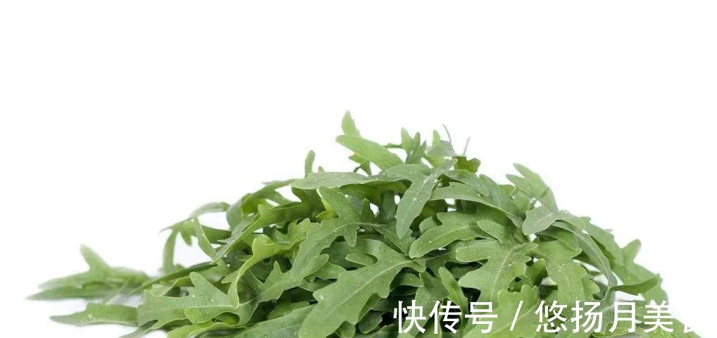 蔬菜|这些蔬菜吃了很多年，竟然都不知道名字！第一个就不认识！