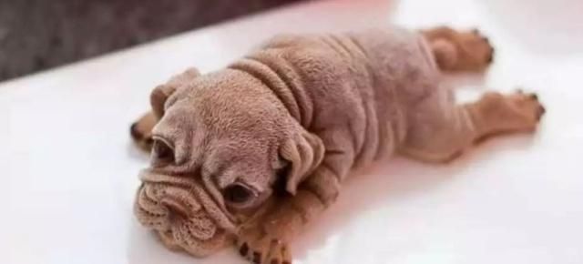 5种曾经很火的零食,蓝色可乐上榜,图4大多数人都买过