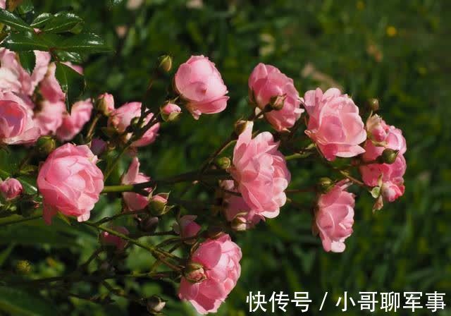 此生|下一周,繁荣结束,财运走高,破茧重生,不负此生,不离不弃