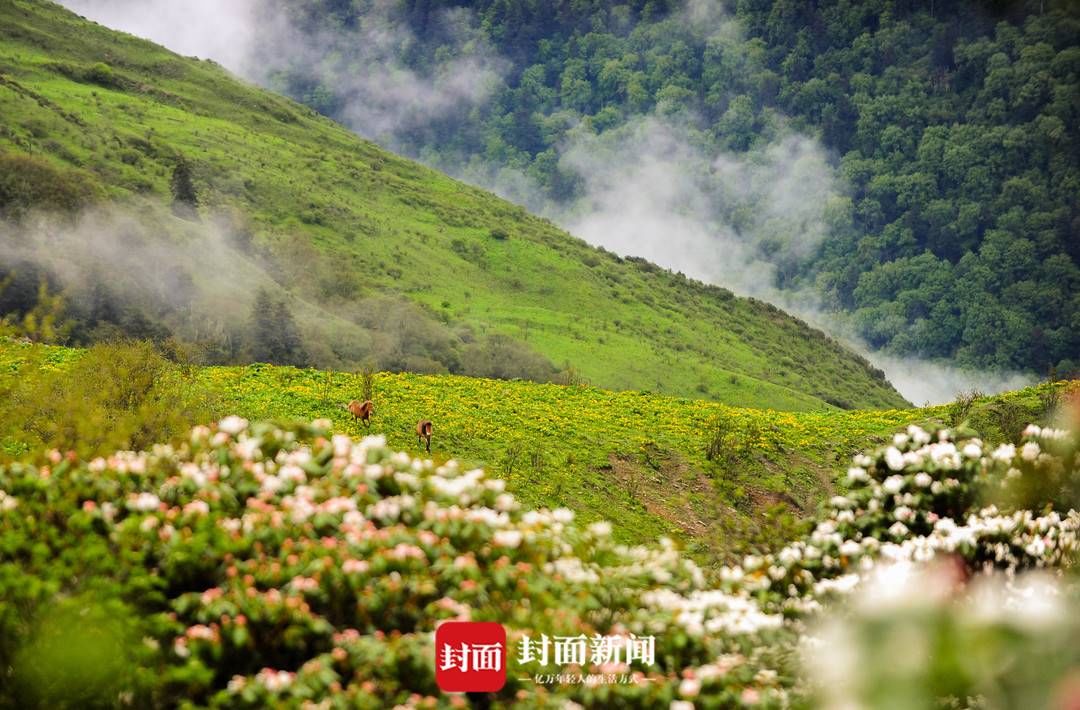 硗碛乡|硗碛藏乡23年 一名记者的定格与留白