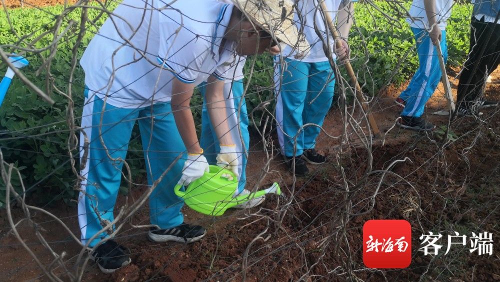 走进田地、培育幼苗……海南中学劳动教育种植体验课启动