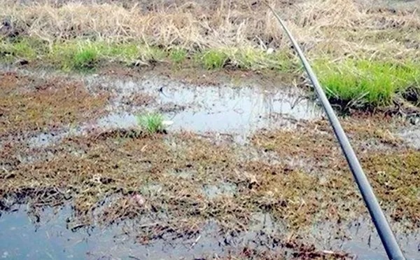 一眼就能看出哪里鱼多,拥有这4种找鱼绝技,冬钓鲫鱼不再难