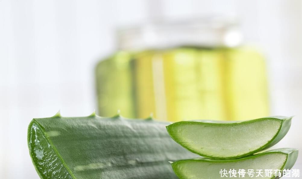 紫苏|这6种植物是生活的好帮手,家里养一盆,好看好养还可备不时之需