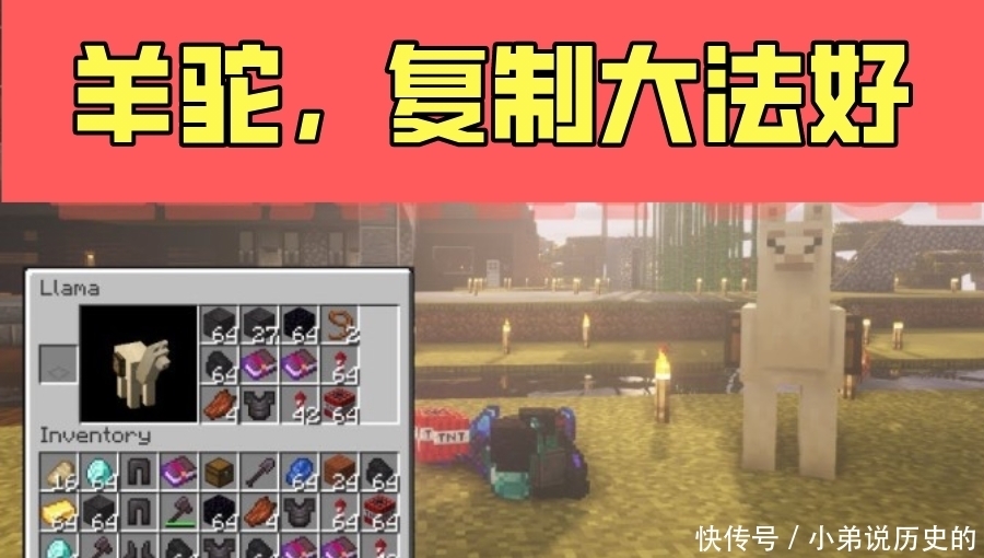 我的世界 被叫错名字5年的生物 Mc里的 羊驼 不叫羊驼 天合乐学帮助家长发现孩子的更多可能 我的世界 被叫错名字5年的生物 Mc里的 羊驼 不叫羊驼 天合乐学帮助家长发现孩子的更多可能