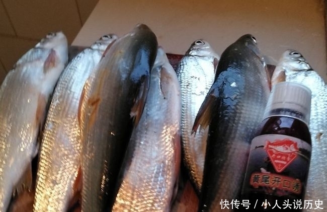 钓法|黄尾怎么钓?黄尾鱼新钓法,命中率更高!