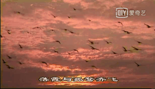 数学@9部孩子必看的顶级纪录片,知识点满满,推荐收藏