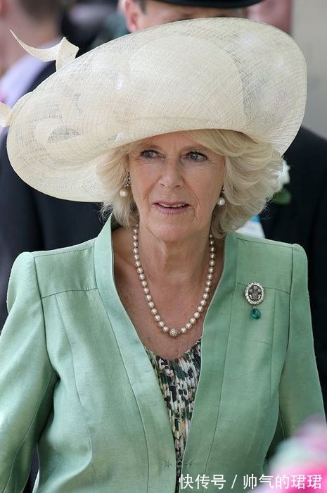 伊丽莎白 卡米拉的蛇形项链20年前做情人时查尔斯送的,蛇蝎气质一目了然