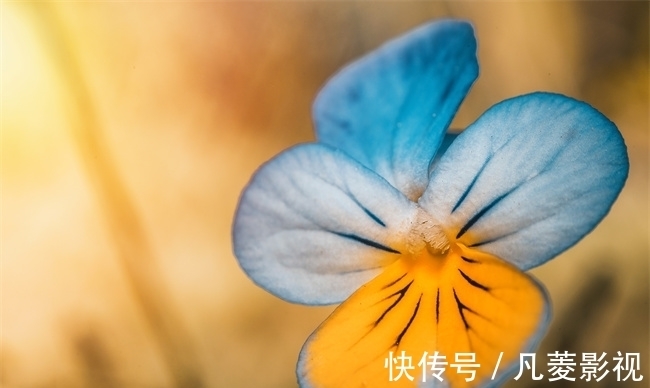 时辰|出生哪几个时辰的人,风雨之后见彩虹,磨难越多成长越快!