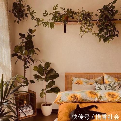 小猫咪|德国夫妇的家，女主人把家布置复古又舒适，很有老电影里的味道！