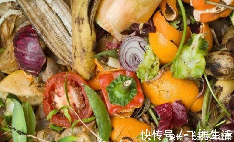 肥料|室内养花“3种水”可以喷,让植物叶子油绿不发黄,其他的不要用