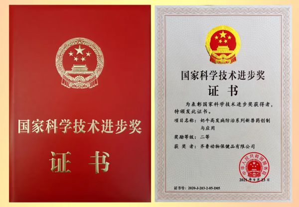 科学技术|再获2项国家科技进步二等奖齐鲁制药集团已累计获得7个