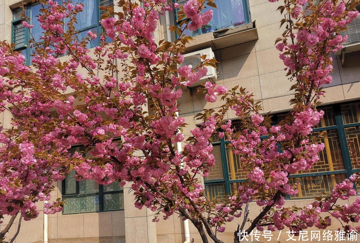 长久之计|曾国藩:居官不过偶然之事,居家乃是长久之计