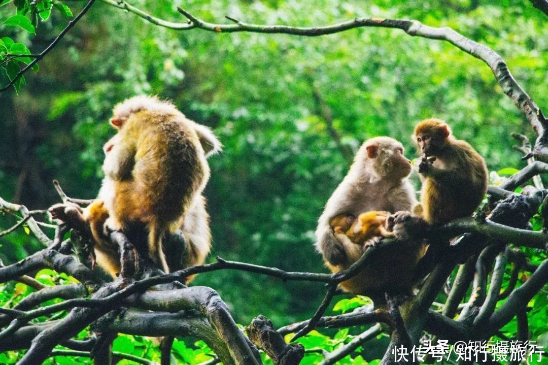 珍藏无数极致美景，最近红遍抖音的小众目的地：贵州