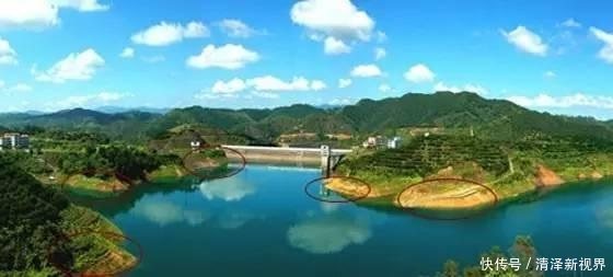 家禽|野钓时遇到这样的钓位别错过,这些都是绝佳的钓位!