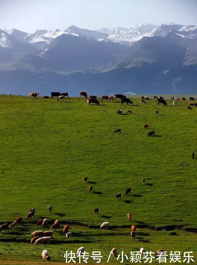 一首《可可托海的牧羊人》唱响春晚,让伊犁惊艳了全世界!