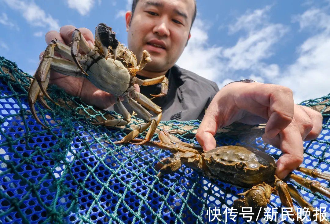 食客|再访阳澄湖