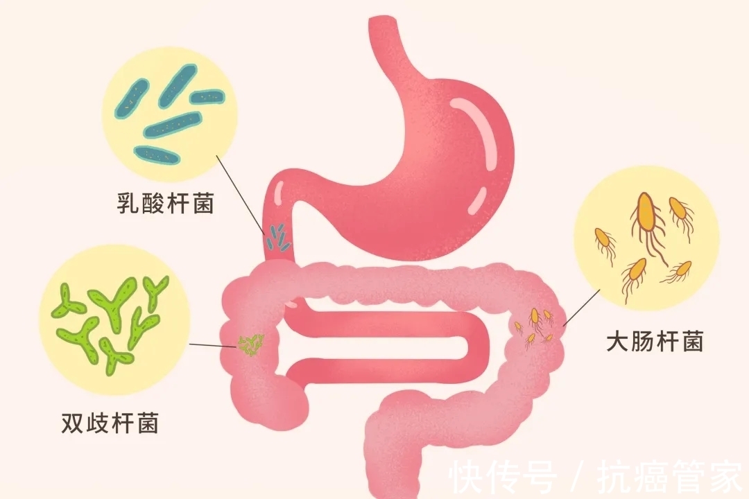 抗癌|人体内细菌最多的地方,竟有抑癌和提高疗效的作用?