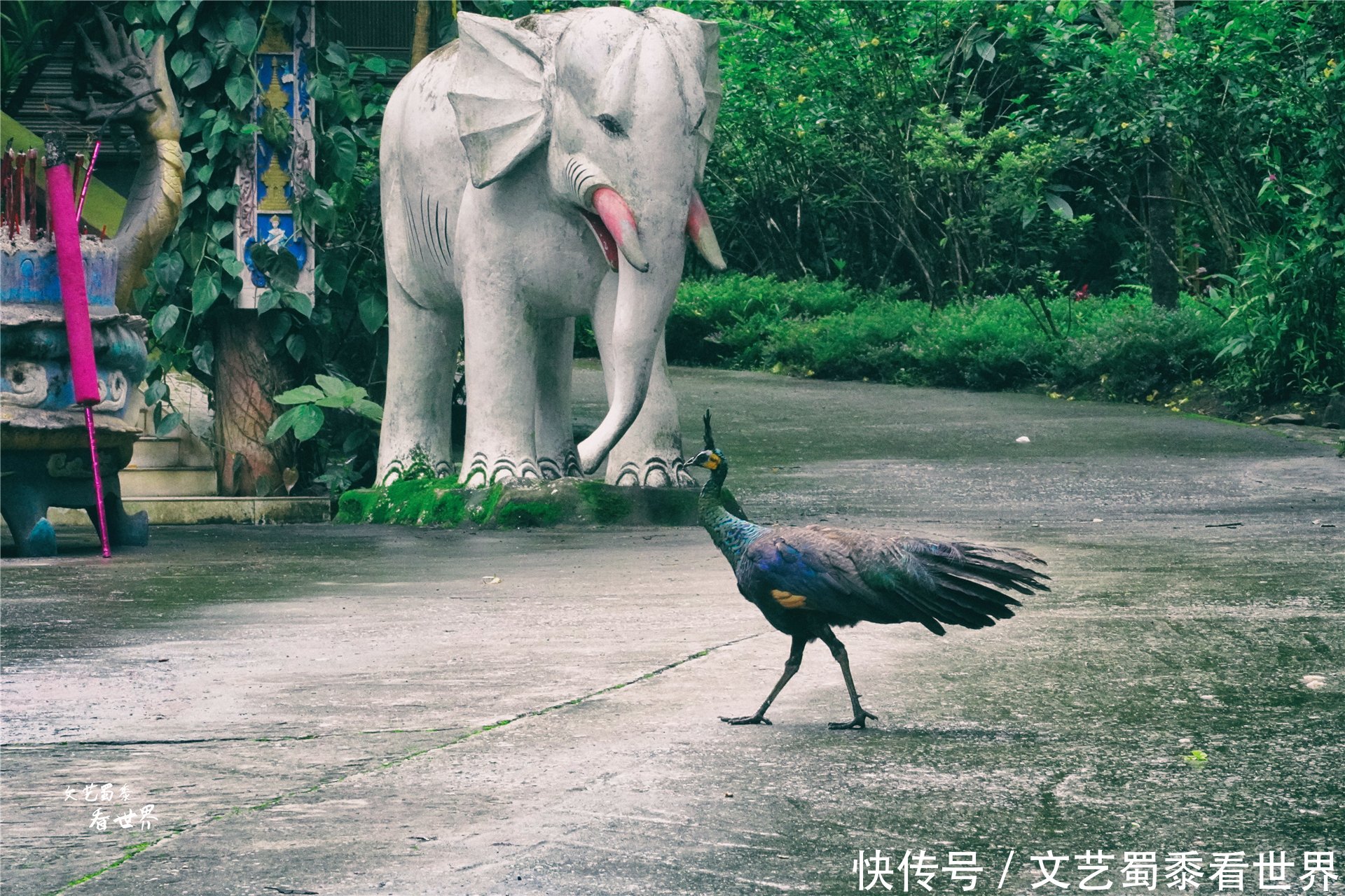 中年|在瑞丽莫里河谷中藏着神奇的莫里瀑布，值得为它来一场丛林探险