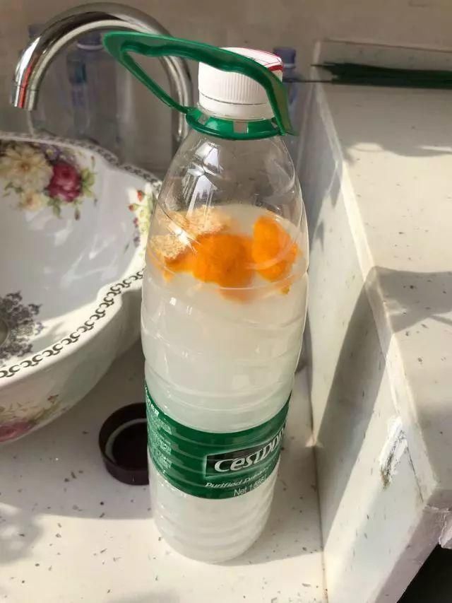 根系生长|6种花爱“喝酒吃醋”,半月来1勺,叶片浓绿滴油,狂开花!