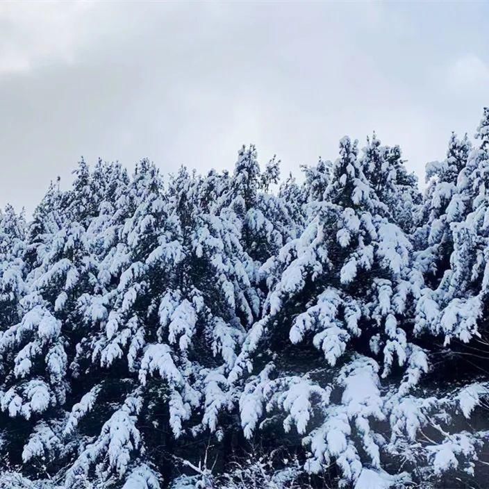 中年|冰天雪地看本溪之瑞雪兆丰年（1）