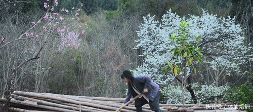 做一桌玫瑰,送给我最爱的你们~