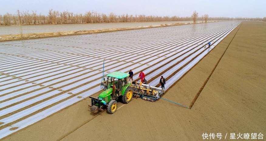 新疆棉制品“秒空”,1小时收售2352万元,耐克阿迪可曾想到结局?