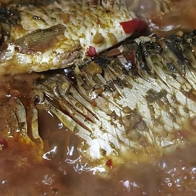 可以大口吃肉的“无刺”鲫鱼