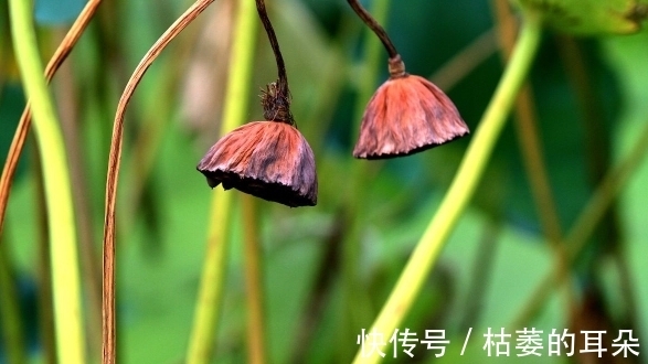 徐霞客|老祖宗:一个家庭的败落,往往从这些事开始,需谨慎