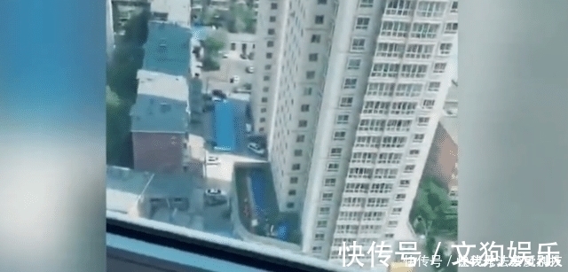 妈妈|孙子上幼儿园后,爷爷每天看望远镜,没想到被妈妈发现了小秘密