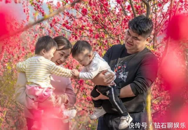 三月|花样荷城,美不胜收!