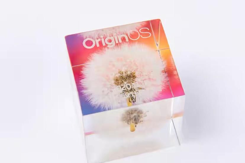 花朵|花朵元素再现！新系统OriginOS实体邀请函惹人深思