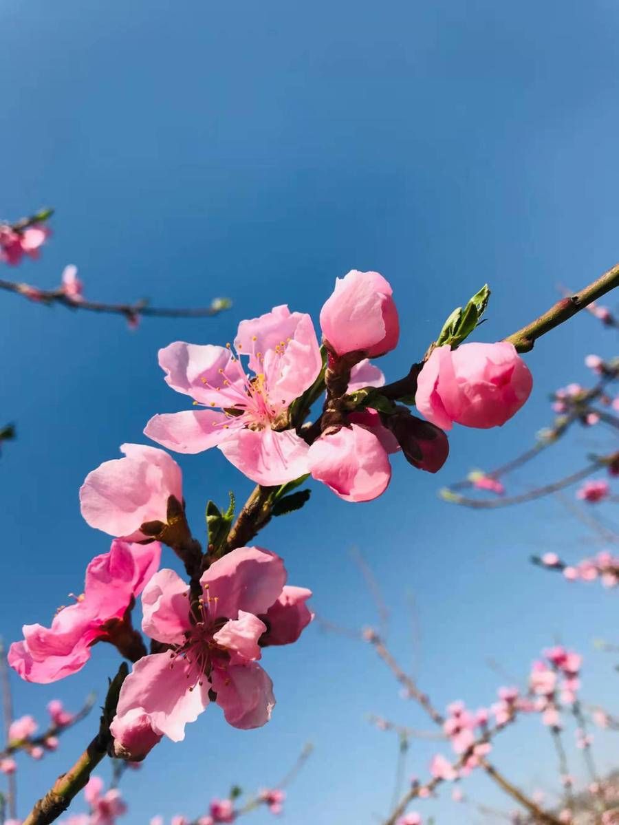 山东省|青未了｜杜东平｜一个人的除夕