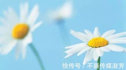 丰子恺|生活哲理:人到中年,我们应该看透的3个生活真相