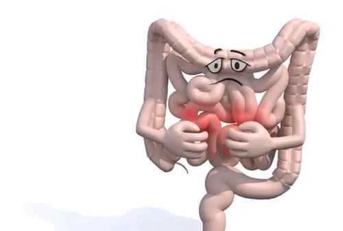 肠道健康，影响着你的免疫力、寿命，别忽视了肠道发出来的信号