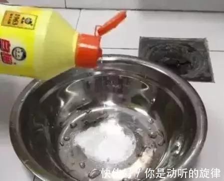 飞虫|下水道不干净怎么办用这几样东西，3年都不会再不干净了