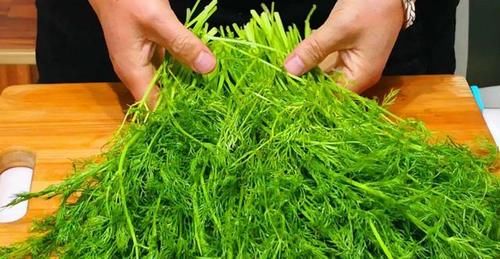 作用|你吃茴香吗?茴香味道重很多人不爱吃,但多吃茴香有这4个好处哦