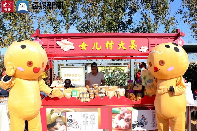 大姜#八百亩生姜喜获丰收 第三届青岛移风店（女儿村）大姜文化节开幕