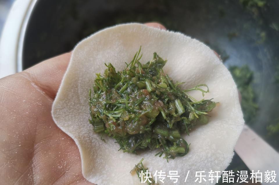 花生油|夏天吃饺子这馅真好吃,皮薄馅大汤汁四溢,出锅连吃40个真过瘾
